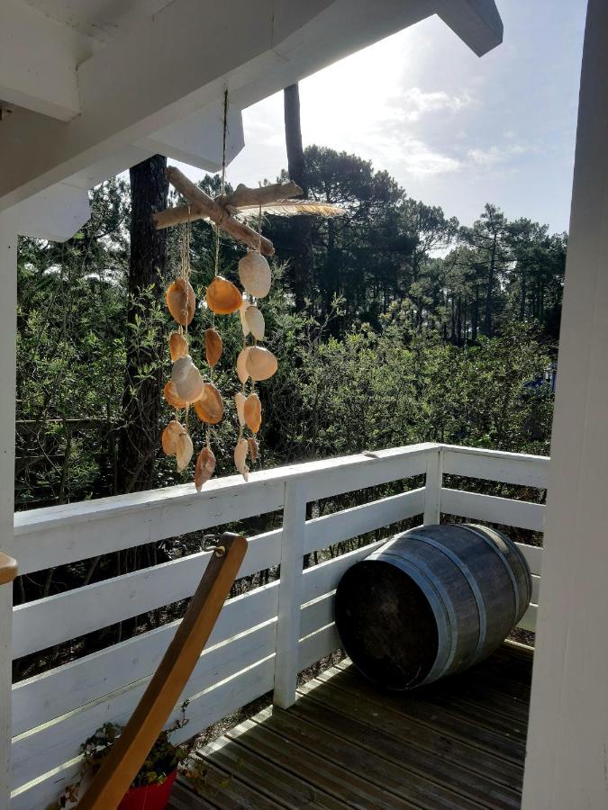 Domaine Residentiel Naturiste De La Jenny Chalet 6 Pers Villa Le Porge Kültér fotó